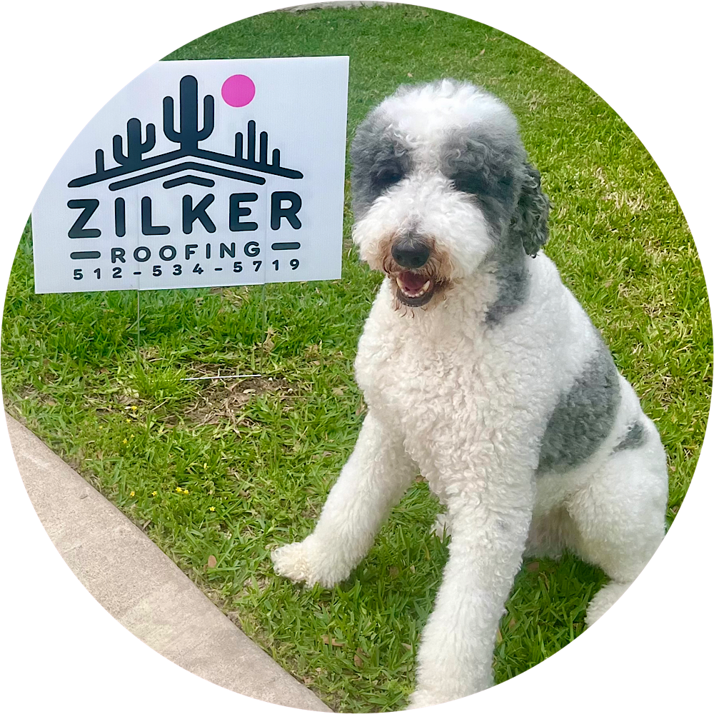 Charlie - Zilker Roofing